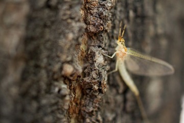 IMG-401_調整大小.JPG