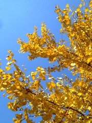 20121113004.jpg