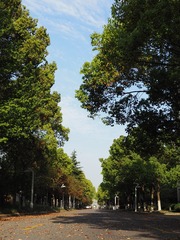115B8D39-3110-48A4-8EEA-84BB028AE762/L0/001