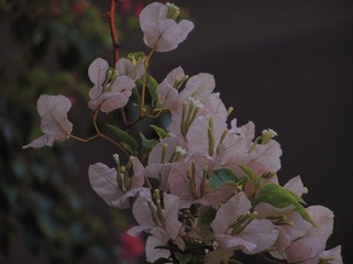 190740