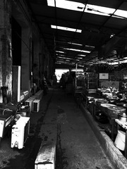 R0016652.JPG