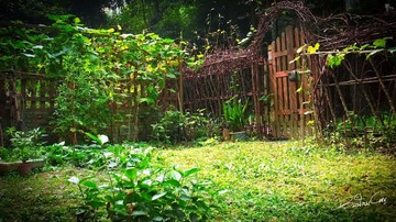 garden01.jpg