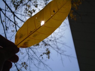 44CD543F-B8CE-4A6C-AD5B-533CAA70A219/L0/001