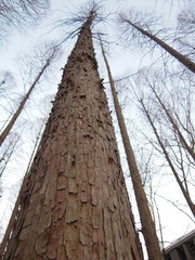 DSCN1066.JPG