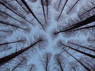 DSCN1069.JPG