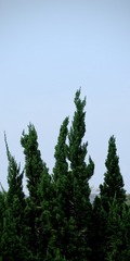 E0F8B09B-BE00-486F-AE14-A4F5153A52DA/L0/001