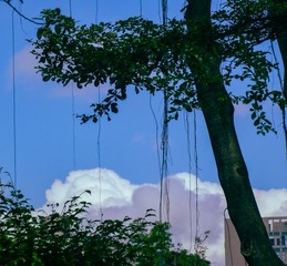 CD986D00-D98B-4084-A5CF-91A167766C8B/L0/001