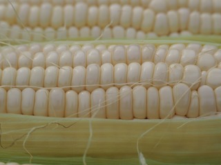 87007