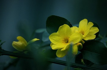 99457