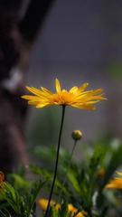 99751