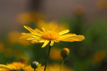 99750