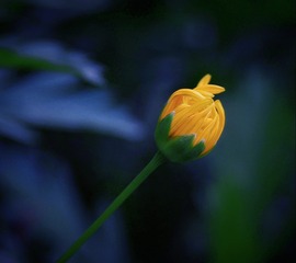93704
