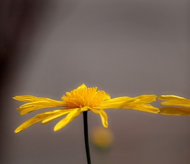 99757