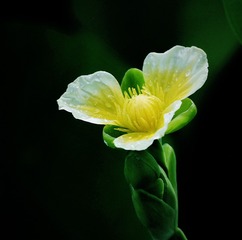 79227