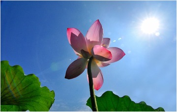 4F75556E-5F7D-42B4-B391-18DC2BE44C28/L0/001