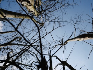970EE104-4C2A-49E4-90D0-689D6657A784/L0/001