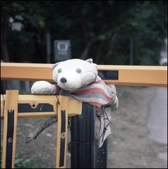45711F46-CD30-4ABC-B2A7-4D6FA76162EF/L0/001