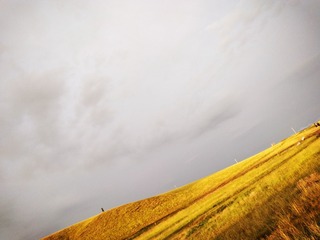 73CAE4D5-AA5D-45B9-930D-E70F7DC8579A/L0/001