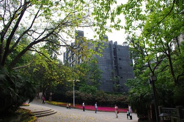 IMGP9048.JPG