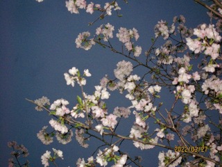 96C7CB46-5C2B-413C-9BA5-84A49A11496A/L0/001