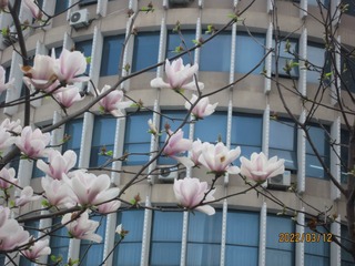 C8769161-7F50-4572-B2C4-D83E250DFFB7/L0/001