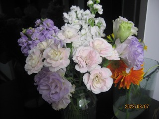 07D25EC8-1F8D-4617-8FC7-33881B67733F/L0/001