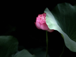 5F802372-88B1-43A6-8D59-5C2963E1A044/L0/001
