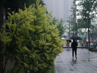 B8E0DB27-913D-4BC3-9D1E-F71609C28D88/L0/001