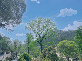 17CB4C9E-641B-4E05-B7DB-F172391F707E/L0/001