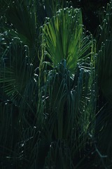 0A0AC0AA-E6D2-4AEE-8B29-400468595210/L0/001