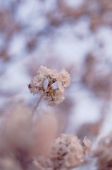 A9694A3B-CC91-466E-ABBD-04516928C460/L0/001