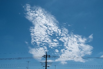 5BA294F8-20BB-4577-99E4-C8E715792162/L0/001