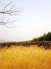 93A50AC0-9166-4ED6-93F9-F59C12A8D7D9/L0/001
