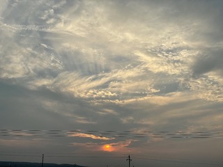 79681866-0B5E-4439-82F6-9B562BC57173/L0/001