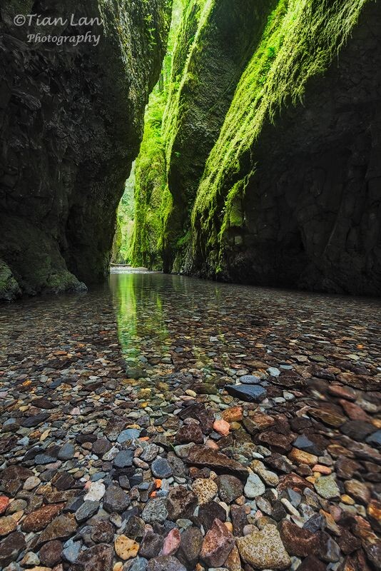 The Green Narrows<br />
拍摄于位于Oregon州的Oneonta Gorge。这条不长的峡谷总让我想起Zion National Park的The Narrows，只不过这个是绿色版本的~欢迎关注我的新浪微博：Lost-蓝天