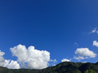 AA765B68-8B4B-450B-A8D8-0549CEAF3A8F/L0/001