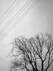 C002C541-ADDA-4A13-AD06-C394D65E572B/L0/001
