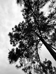 92597503-9C36-4576-83AA-D265D1BB5B2B/L0/001