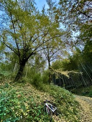 F7ECB174-3170-4DDC-B318-AD70313357B7/L0/001
