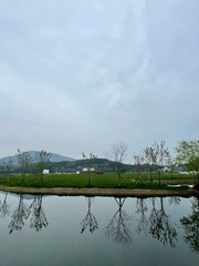 85EAB946-D8F3-42AF-AB6D-755689A7B556/L0/001