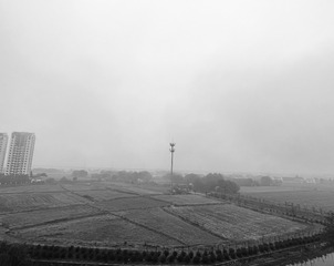 F38B77D2-02BE-4F54-8208-91A82E96C561/L0/001