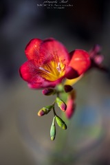 1201296