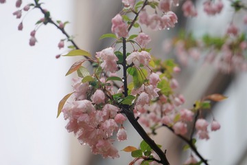 50AA2101-985D-474D-947A-22F53EAD07FC/L0/001