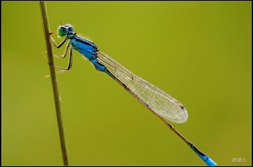 _IGP9729.jpg