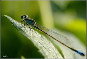 _IGP0474.jpg
