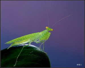 IMGP7624.jpg