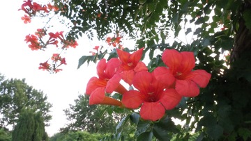 62E96AAB-E16C-4B2C-8F85-BD213A9DE5DC/L0/001