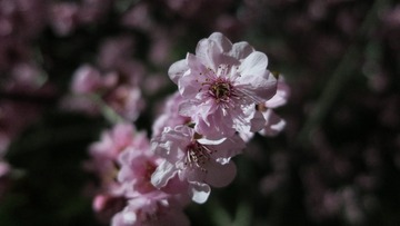 9159FD0B-8467-4C4B-AC4D-92B3281B5EF9/L0/001