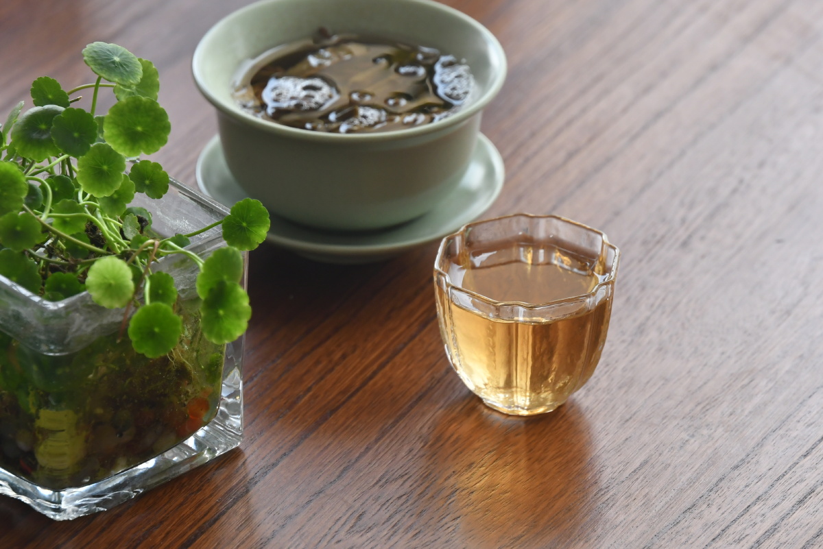 半盏清茶,观浮沉人生. 一颗净心,看清凉世界! - 普洱李榕兰岱 - 图虫