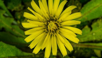 F5910863-B2A8-49A7-962D-A70C88980574/L0/001